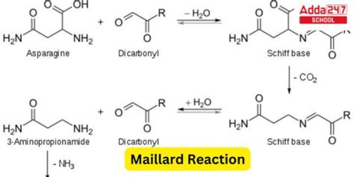 Does Maillard reaction need oxygen?