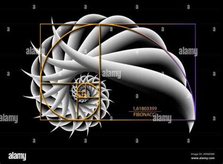 Is the golden ratio related to fractals?
