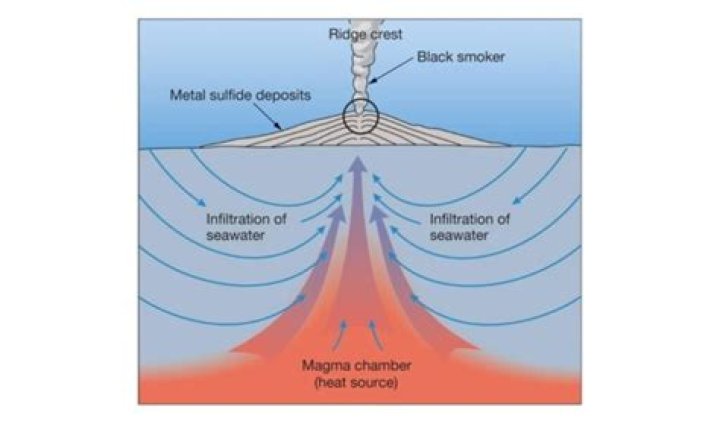 What is a hydrothermal ablation?