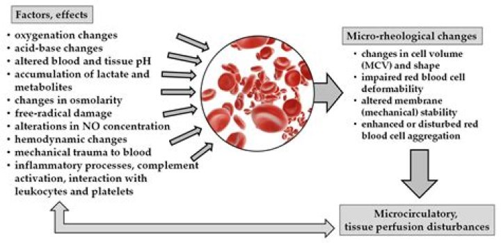 Why is chloride exchanged for bicarbonate in the red blood cell?